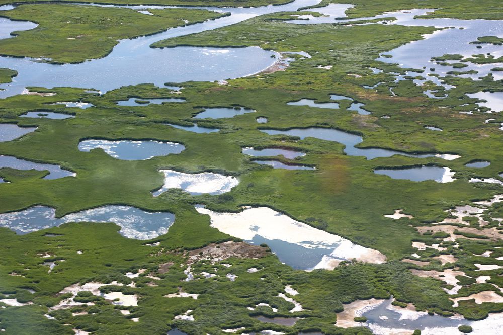 В кальдере вулкана Узон