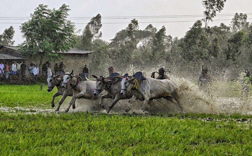 Photograph by Subhajit Mandal