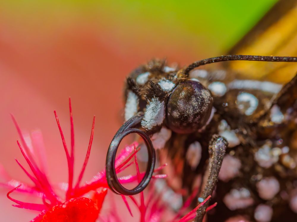 Photograph by Venkat Mangudi