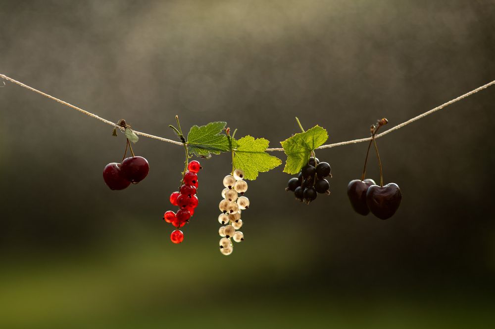 Photograph by Часова Екатерина