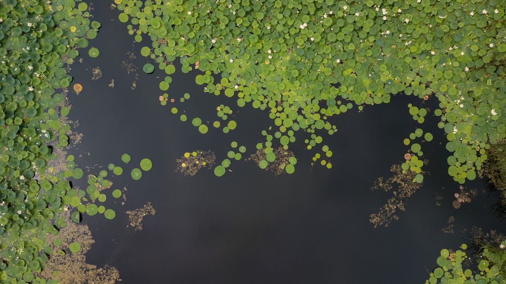 Photograph by Антон Литвинцев