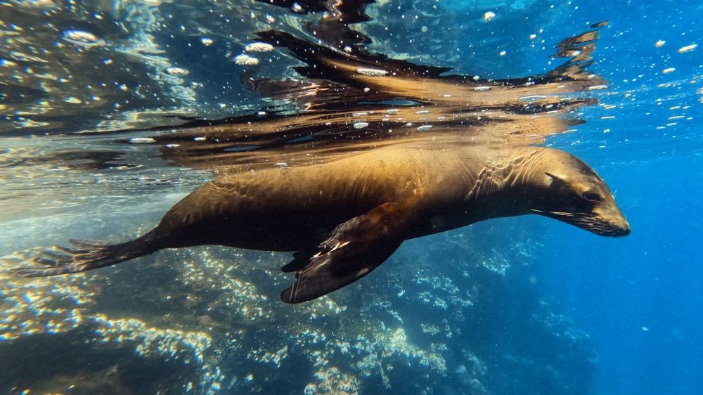 Photograph by  Иван