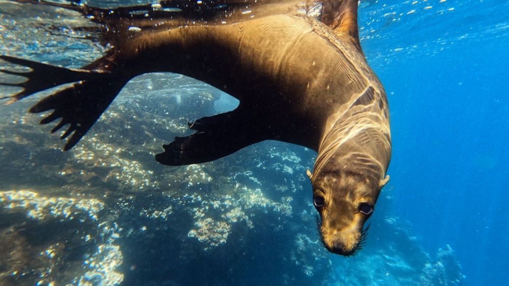 Photograph by Катя Катюнина