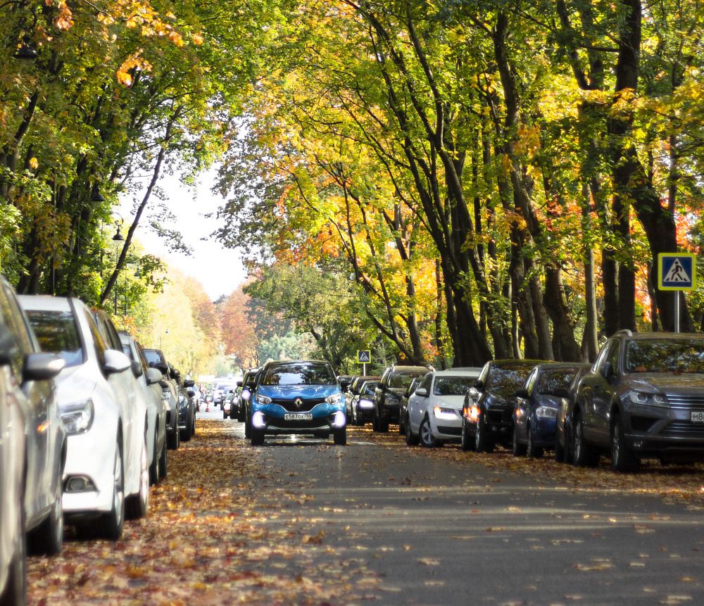 Photograph by Маргарита