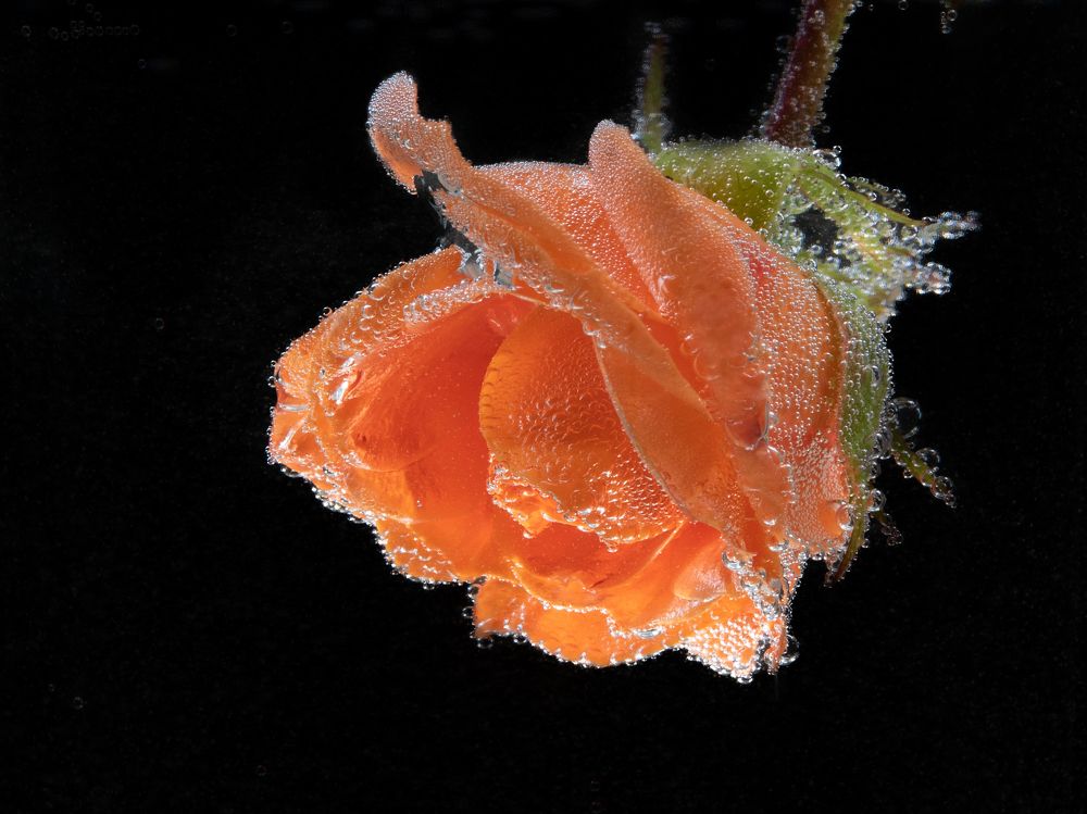 Photograph by Людмила Аксенова