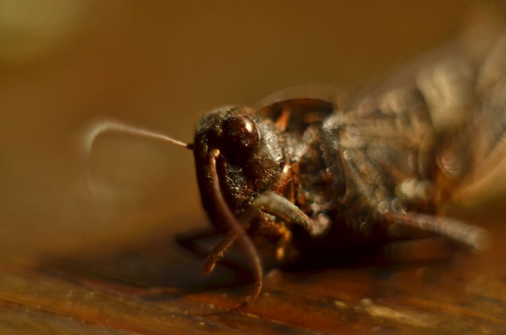 Photograph by Валентин Волк