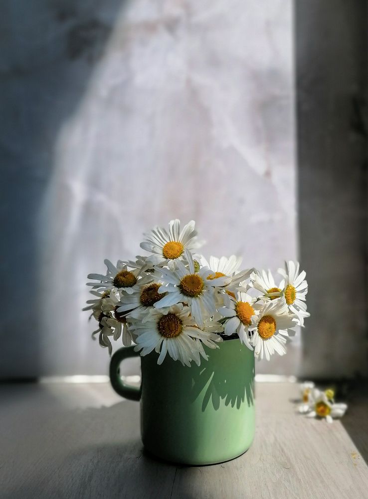 Photograph by Светлана Шелухеева