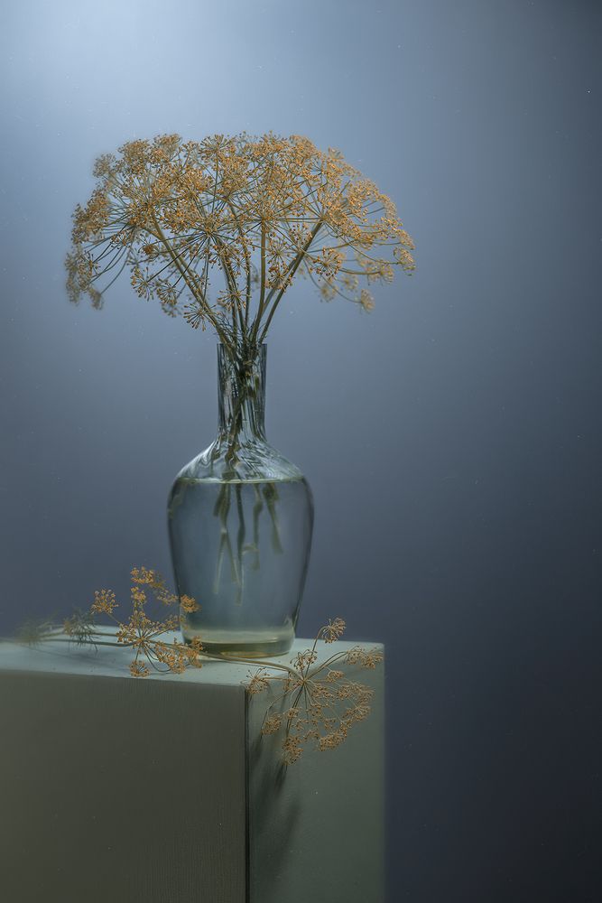 Фотография автора Ольга ЯR