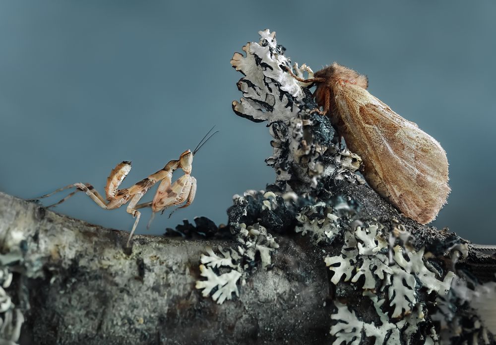 Photograph by Юлия Яремко