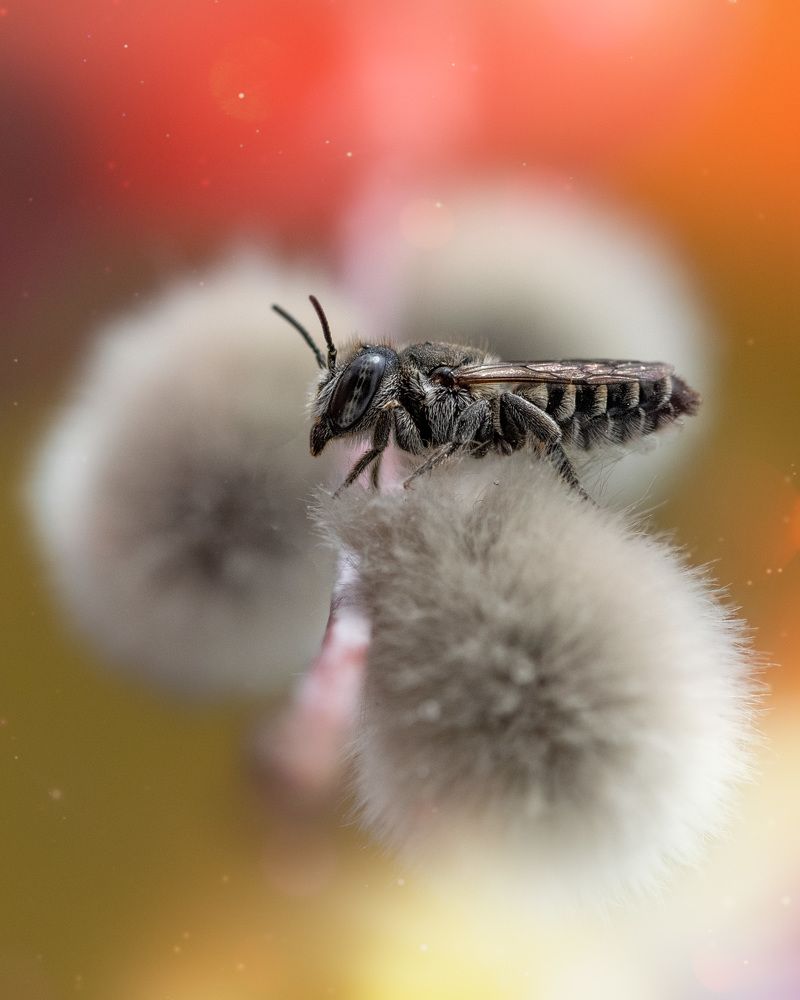 Photograph by Ольга Рагинская