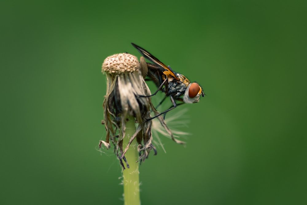 Photograph by Ольга Рагинская