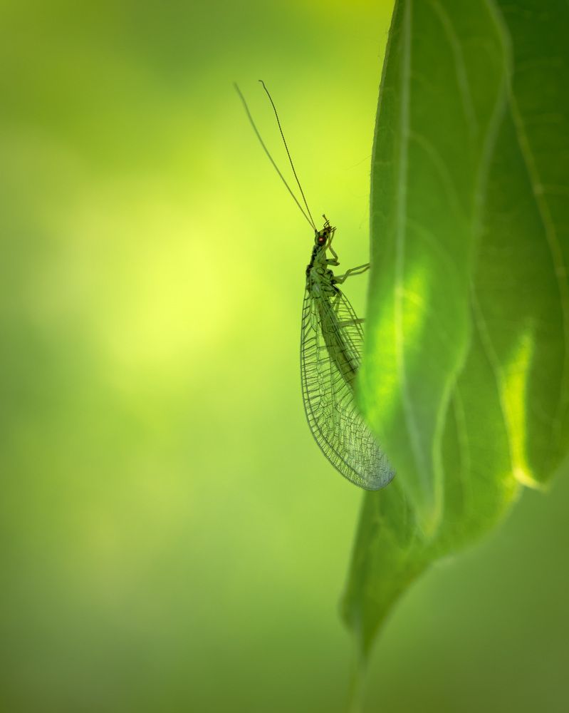 Photograph by Ольга Рагинская