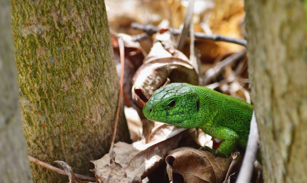 Photograph by Наталья Иванова