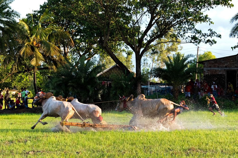 Photograph by Swattik Jana