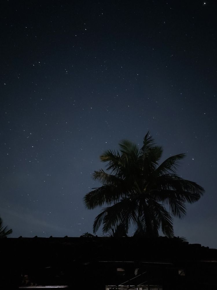 Photograph by Subhadeep Tunga