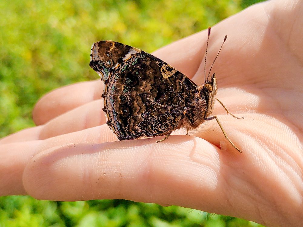 Photograph by Дмитрий Малышев