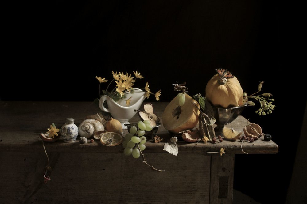 Фотография автора Коршак Елена