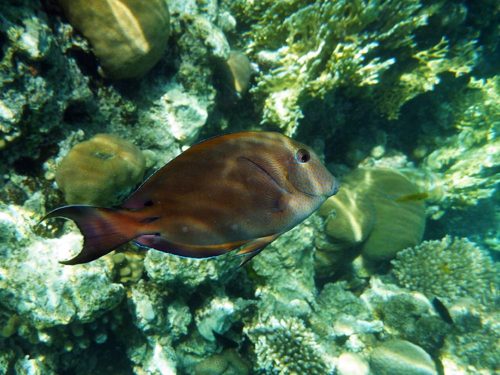 Photograph by Борис Лишневский