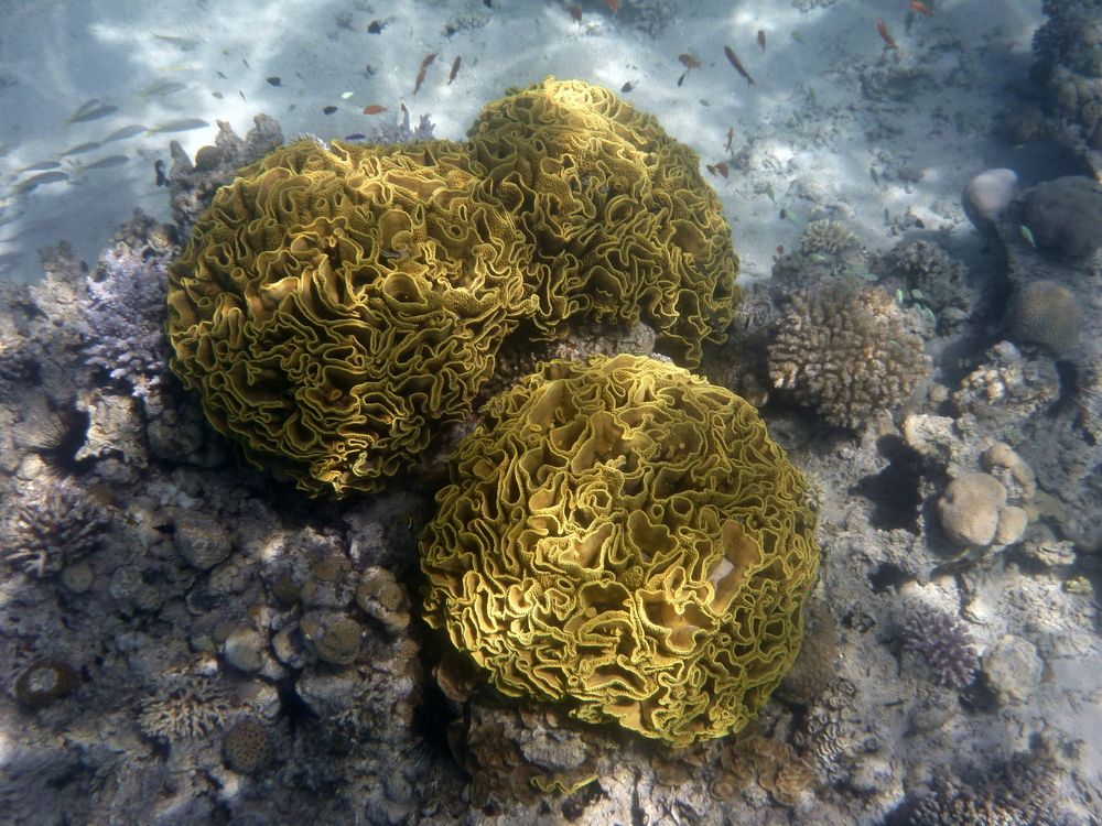 Photograph by Борис Лишневский