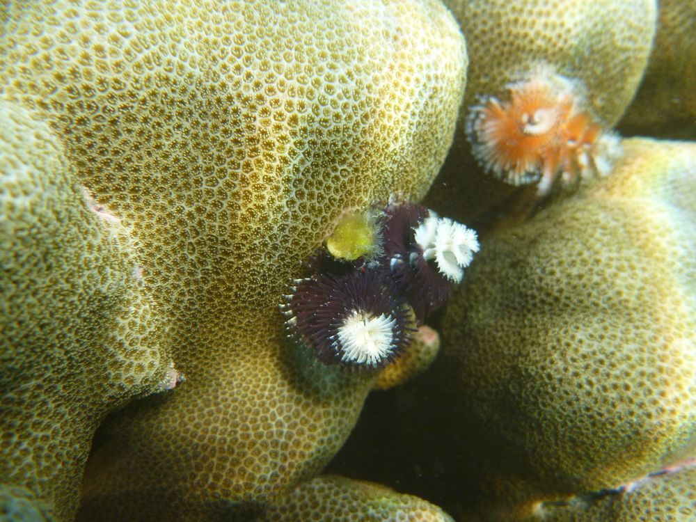 Photograph by Борис Лишневский