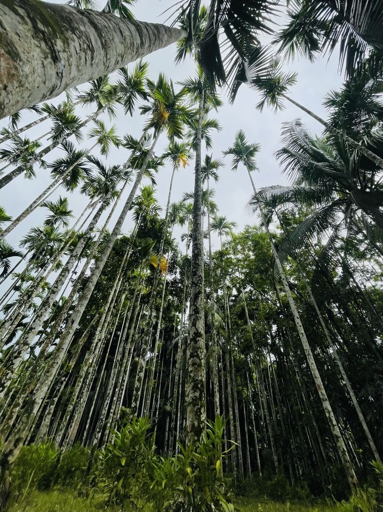 Фотография автора Sheikh Masud