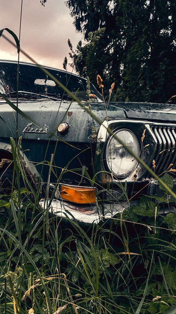 Фотография автора Vladimir Shevchenko