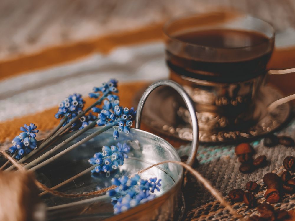 Photograph by Wrapper