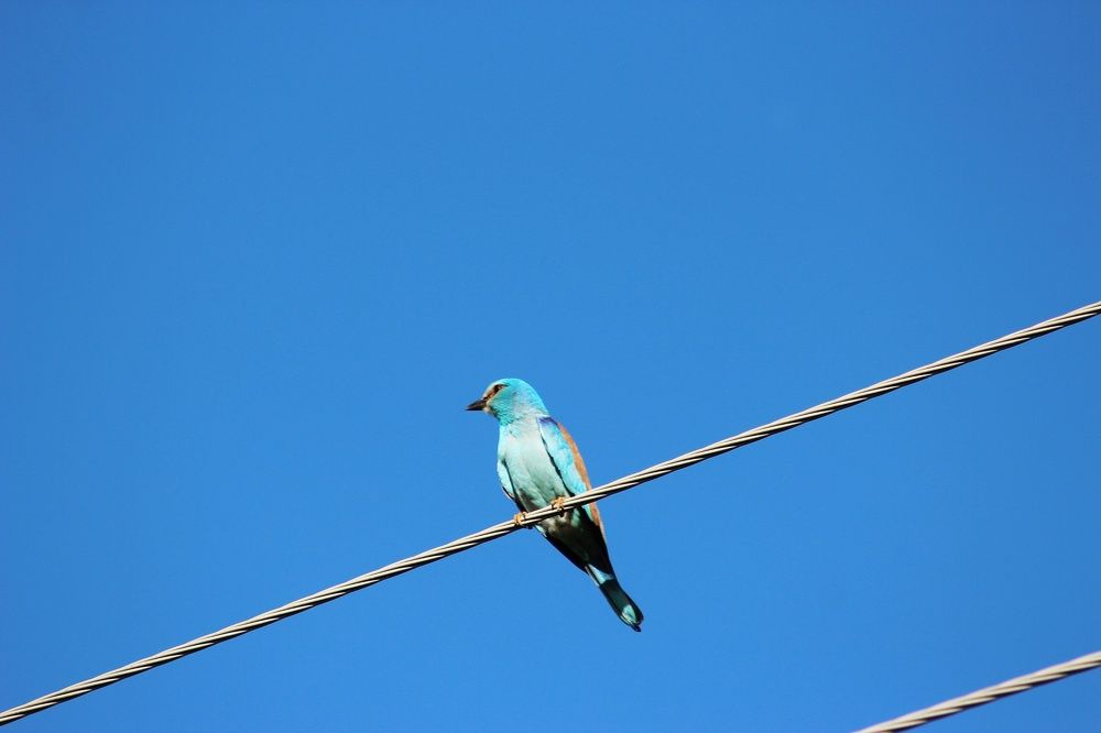 Photograph by Мария Мельникова