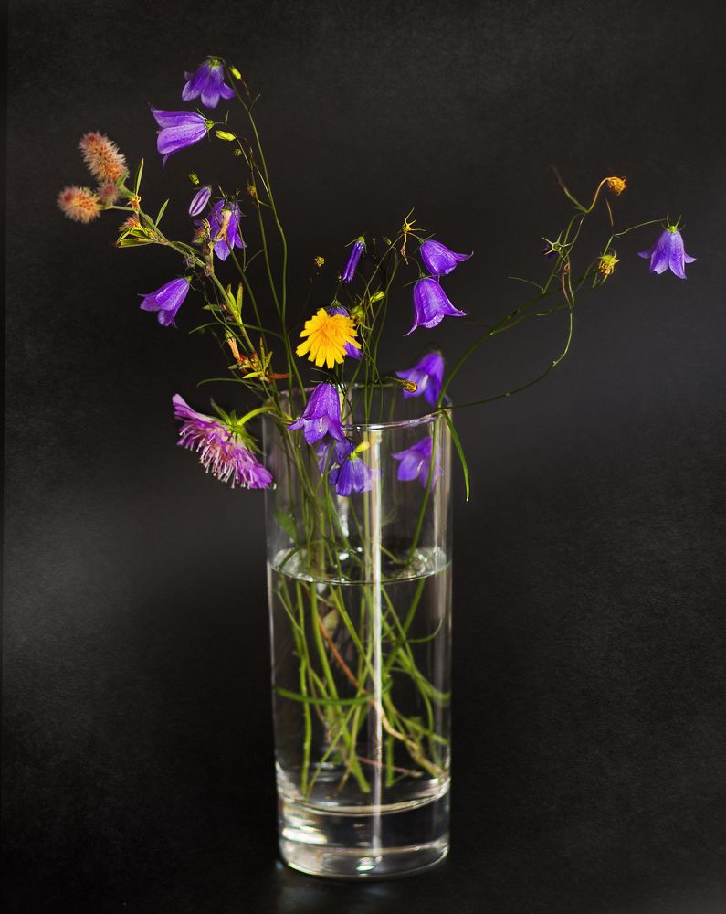 Photograph by Оксана Макарова