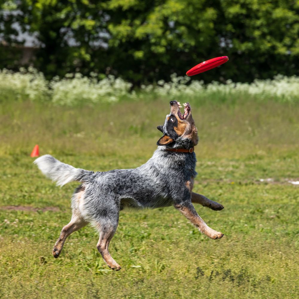 Photograph by Илья Юфа