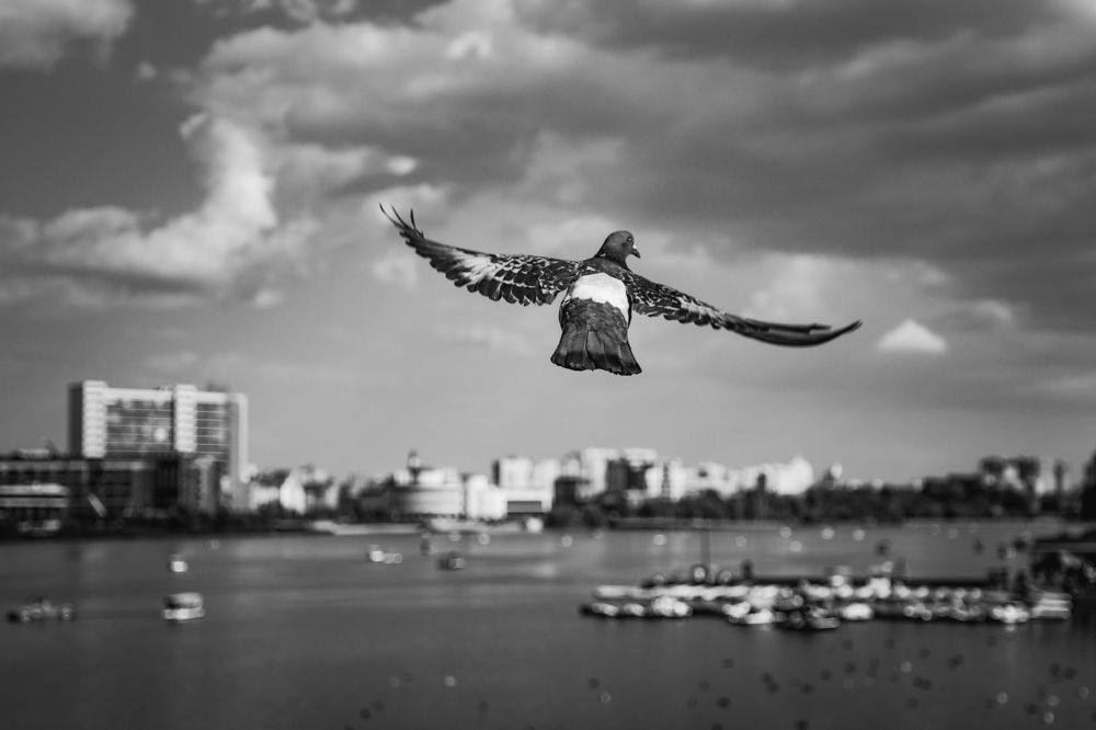 Photograph by Yuliya Pilipchuk
