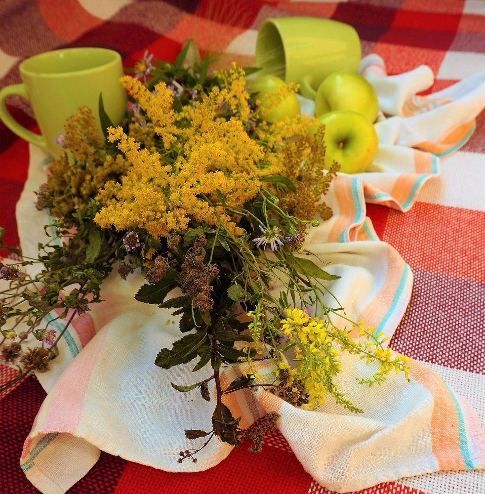 Photograph by Inna Oshe