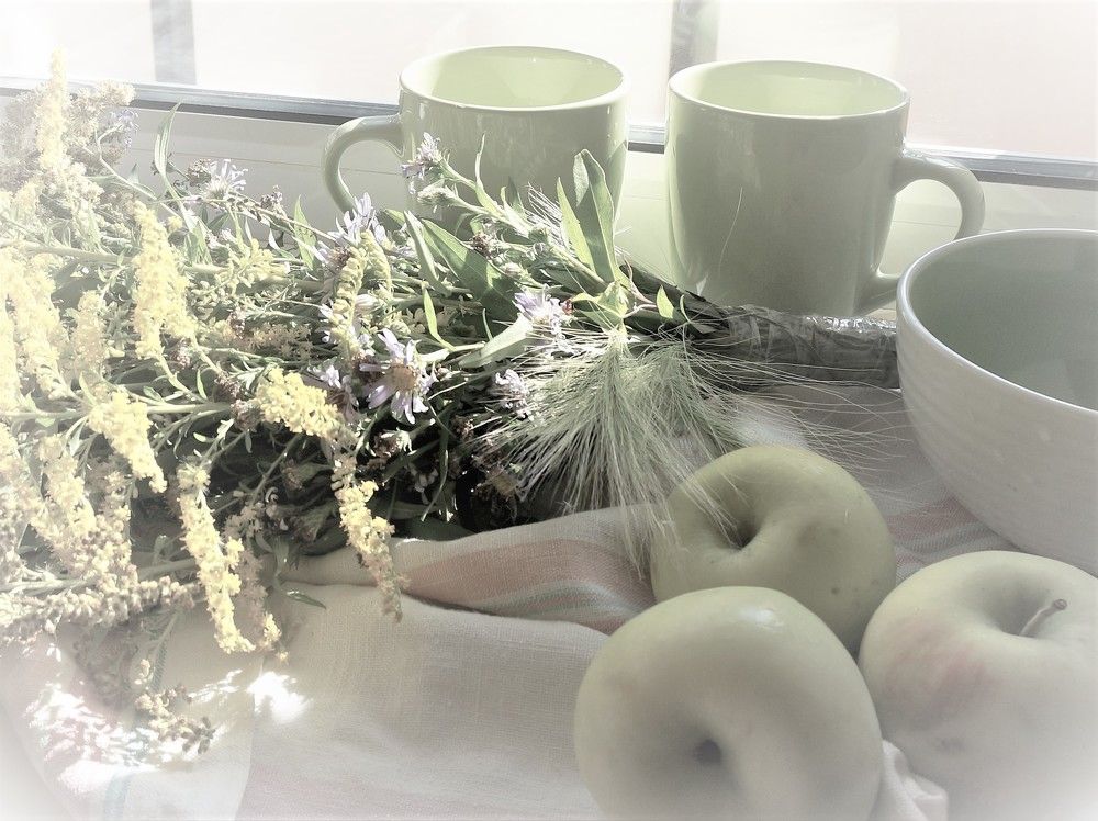 Photograph by Inna Oshe