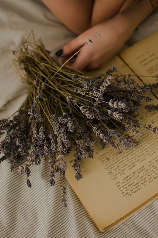 Photograph by Ksenia Paramonova