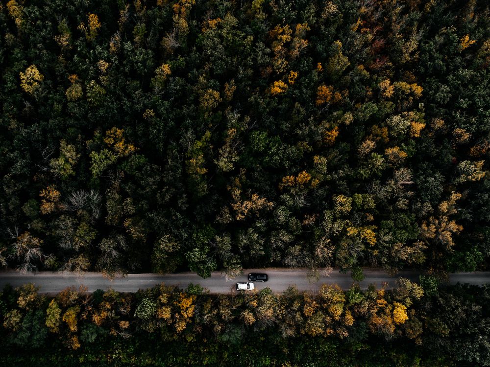 Photograph by Мария Раздорова