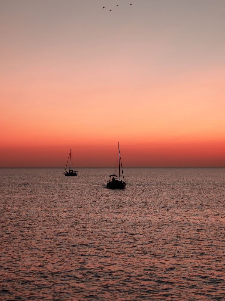 Photograph by Екатерина Слепнева