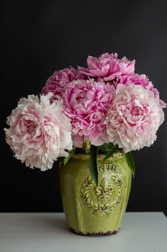 Photograph by Наталья Семенкова