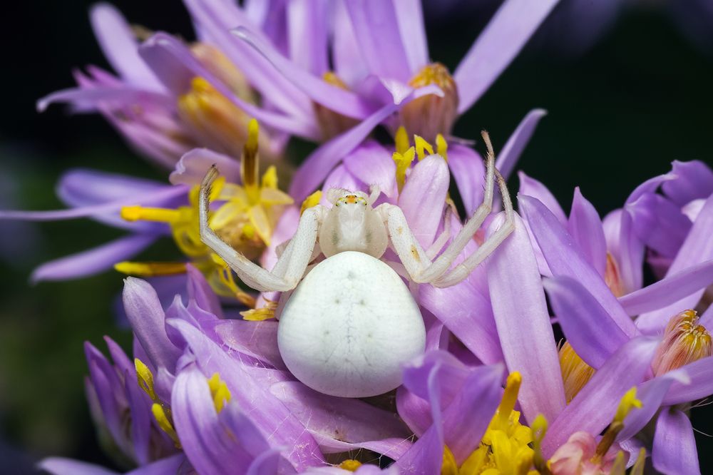 Photograph by Владимир Богданов