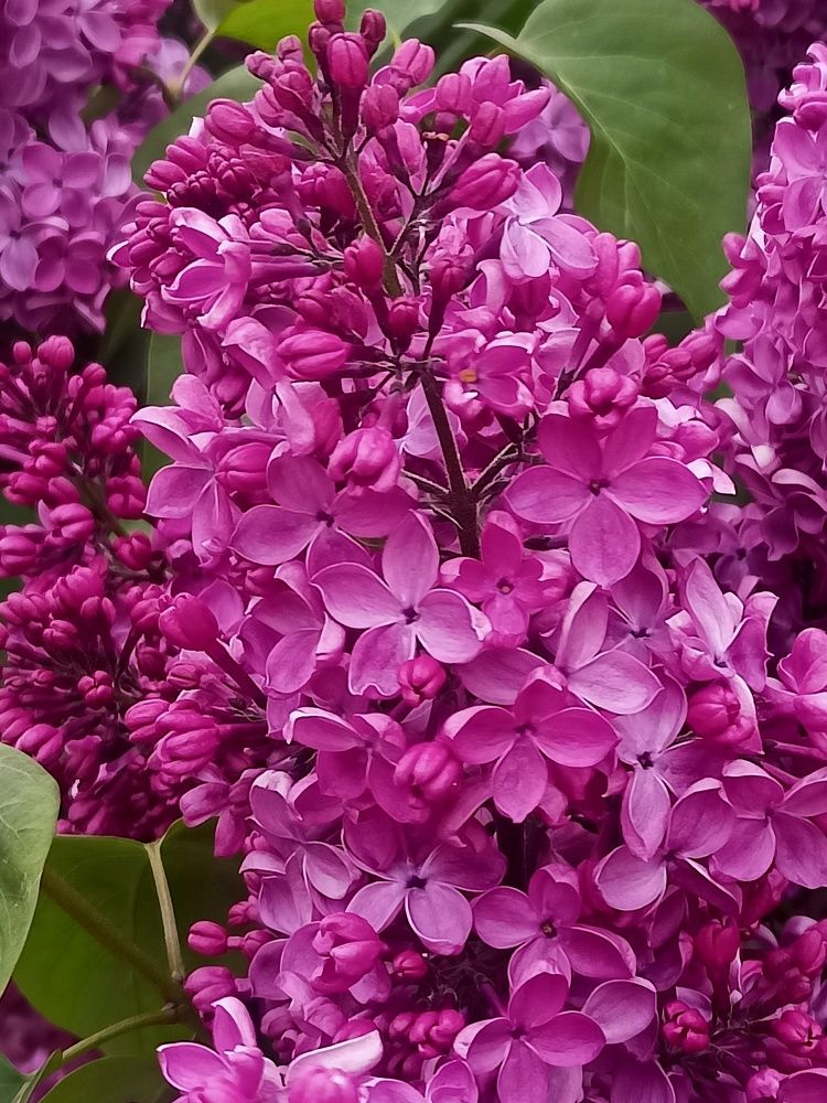 Photograph by Елизавета Мишина