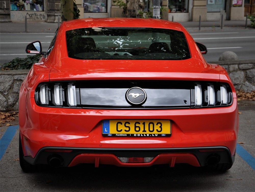 Photograph by Stoyan Baev