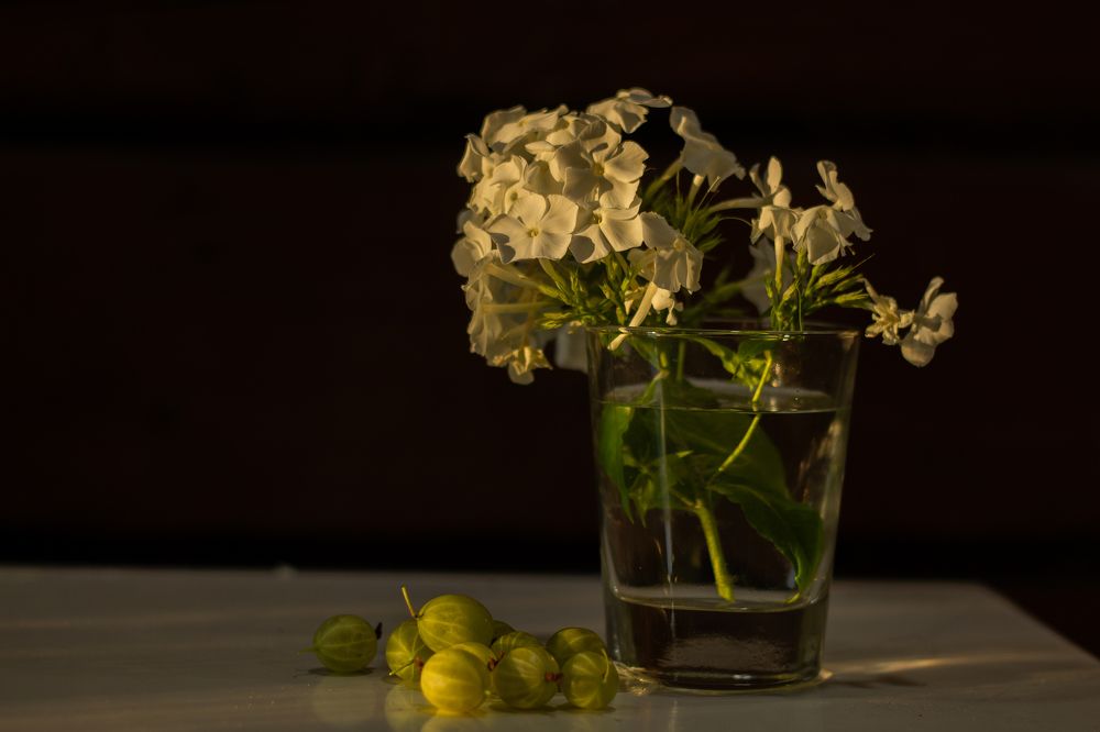 Photograph by Наталья Семенкова