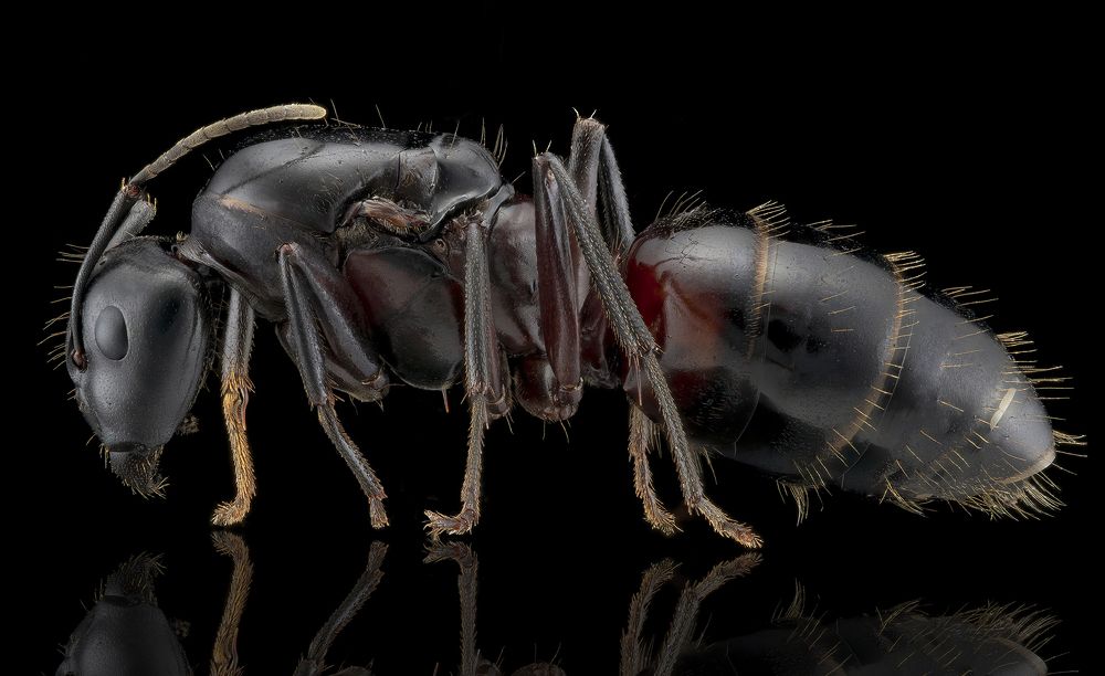 Photograph by Dariusz