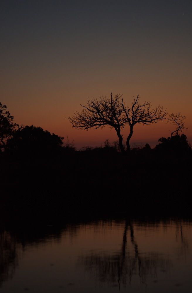 Фотография автора Медведев Сергей