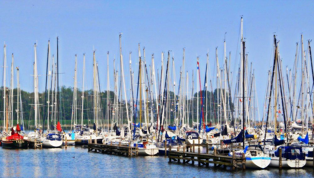 Photograph by Anna Perevozchikova