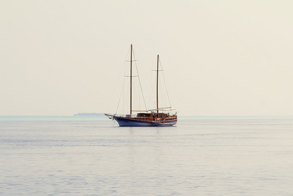 Photograph by Anna Perevozchikova