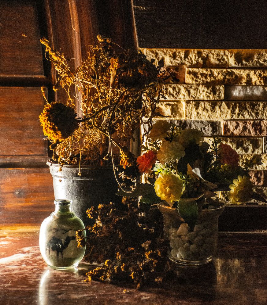 Photograph by Eslam ElsayedEldaramlly