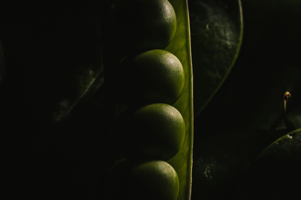 Photograph by Александр Поданев