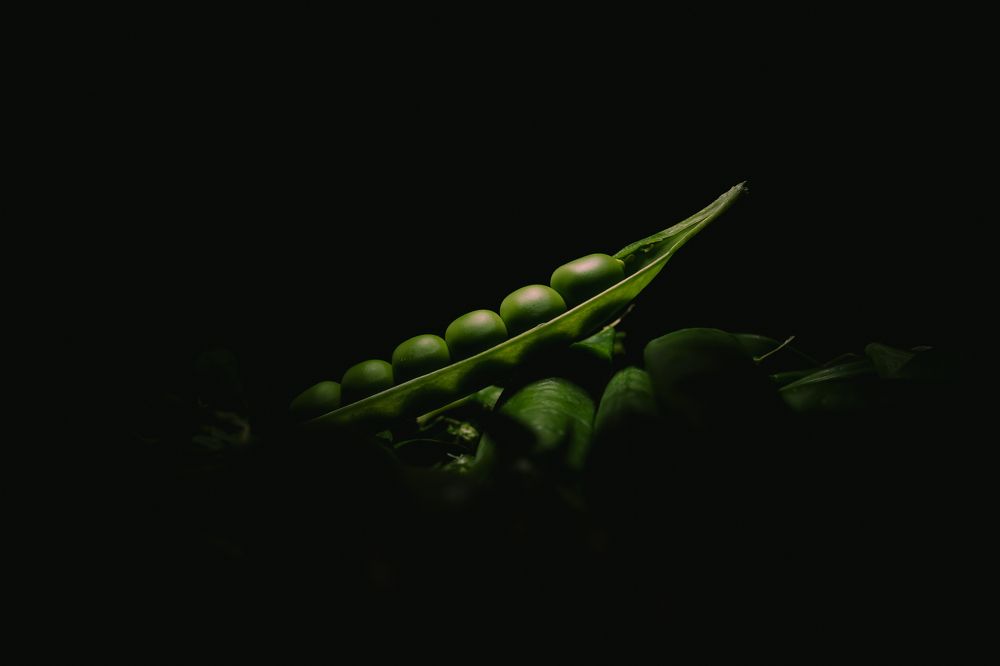 Photograph by Александр Поданев