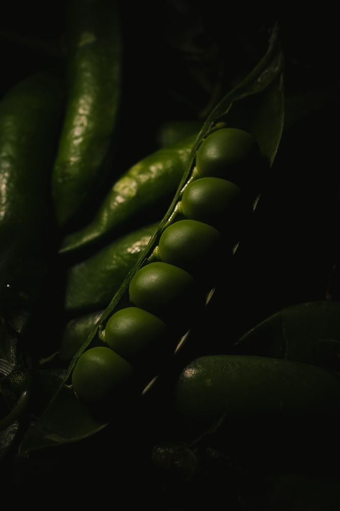 Photograph by Александр Поданев