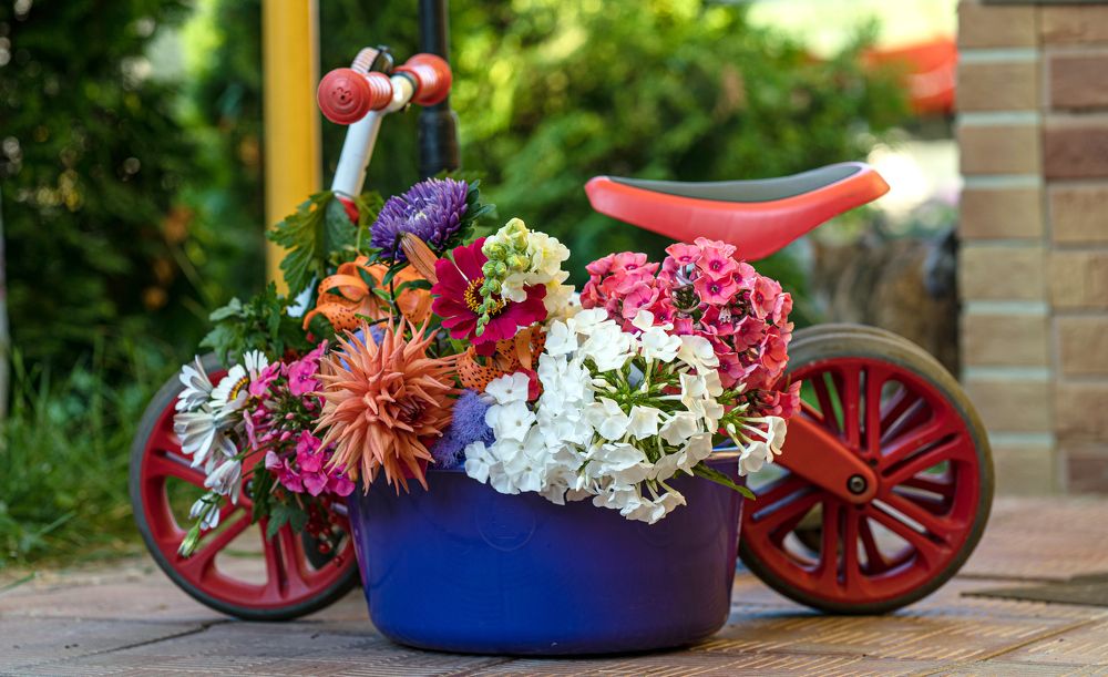 Photograph by Галина Искандарова